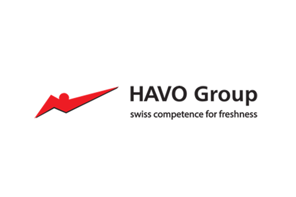Logo Havo